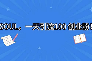 SOUL,一天引流100 创业粉