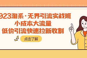 2023淘系·无界引流实战班:小成本大流量,低价引流快速拉新收割