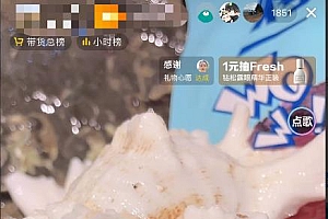 最新抖音+快手赶海无人直播流量庞大,效果出奇的好(教程+素材)