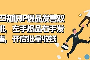 2023知识IP-爆品发售双 阶班,左手爆品右手发售,开启批量收钱