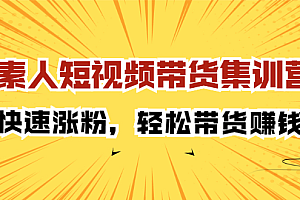 素人短视频带货集训营:快速涨粉,轻松带货赚钱