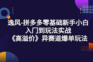 拼多多零基础新手小白入门到玩法实战《高溢价》异赛道爆单玩法实操课