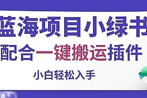 蓝海项目小绿书,配合一键搬运插件,小白轻松入手