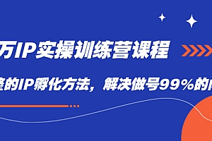 百万IP实战训练营课程,完整的IP孵化方法,解决做号99%的问题
