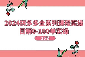 2024拼多多全系列课程实操,日销0-100单实操【16节课】