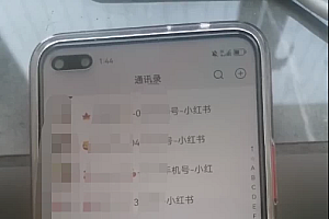 全面解析小红书图文引流日引100私域流量是怎样做到的