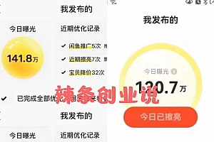 价值1980最新闲鱼大流量联盟玩法