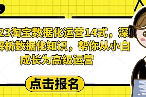 2023淘宝数据化-运营 14式,深度解析数据化知识,帮你从小白成长为高级运营