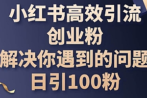 小红书高效引流创业粉,解决你遇到的问题,日引100粉