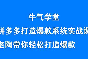 牛气学堂拼多多打造爆款系统实战课,老陶带你轻松打造爆款