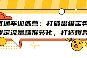 直通车训练营:打破思维定势,锁定流量精准转化,打造爆款