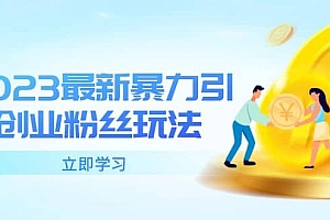 2023最新暴力引流创业粉丝玩法,单日被动引流50+创业粉