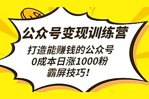 公众号变现训练营(第3期)