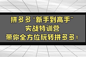 拼多多“新手到高手”实战特训营:带你全方位玩转拼多多