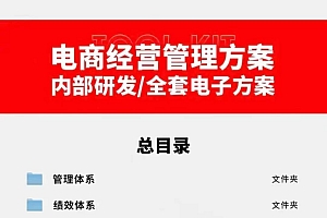 外面卖198·电商企业经营管理工具:全套执行落地方案 标准模块·直接套用