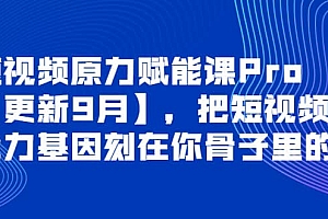 短视频原力赋能课Pro【更新9月】,把短视频能力基因刻在你骨子里的课