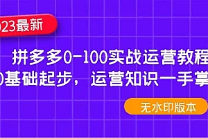 2023拼多多0-100实战运营教程,0基础起步,运营知识一手掌握(无水印)