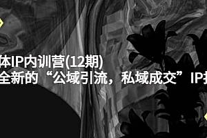 新媒体IP内训营(12期),一套全新的“公域引流,私域成交”IP打法,直接带走