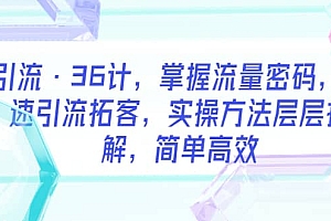 引流·36计,掌握流量密码,快速引流拓客,实操方法层层拆解,简单高效