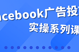 百万级广告操盘手带你玩Facebook全系列投放:运营和广告优化技能实操