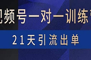 视频号训练营:带货,涨粉,直播,游戏,四大变现新方向,21天引流出单