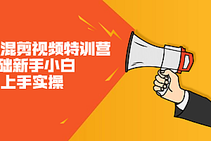 二次混剪视频特训营,0基础新手小白都能上手实操,两天开干