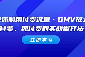 教你利用付费流量·GMV放大,微付费、纯付费的实战型打法