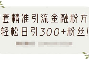 1套精准引流金融粉方法,轻松日引300+粉丝【视频课程】