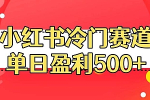 小红书冷门赛道,单日盈利500+【揭秘】