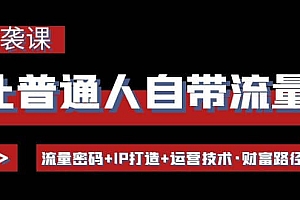 让普通人自带流量的逆袭课:流量密码+IP打造+运营技术·财富路径