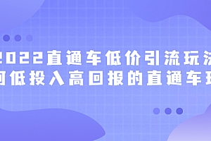 2022直通车低价引流玩法,教大家如何低投入高回报的直通车玩法