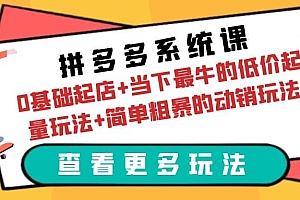 拼多多系统课:0基础起店+当下最牛的低价起量玩法+简单粗暴的动销玩法