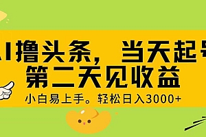 AI撸头条,轻松日入3000+,当天起号,第二天见收益。