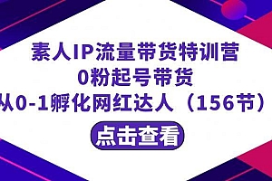 繁星·计划素人IP流量带货特训营:0粉起号带货 从0-1孵化网红达人(156节)