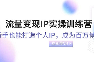 流量变现-IP实操训练营:新手也能打造个人IP,成为百万博主(46节课)