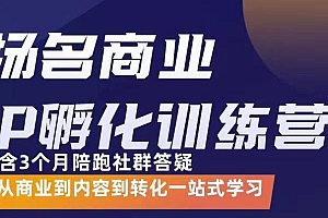 杨名商业IP孵化训练营,从商业到内容到转化一站式学 价值5980元