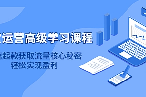 淘宝运营高级学习课程:快速获取流量核心秘密,轻松实现盈利!