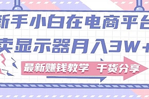 新手小白如何做到在电商平台卖显示器月入3W+,最新赚钱教学干货分享