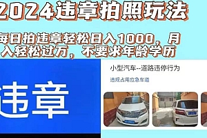2024违章拍照新玩法,推广躺赚+拍照赚钱双模式,日入1000+