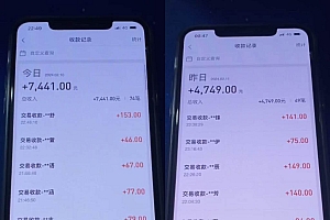 2024最新淘宝差价玩法,日入1000~5000+落地式保姆及教程 小白也能轻松操作