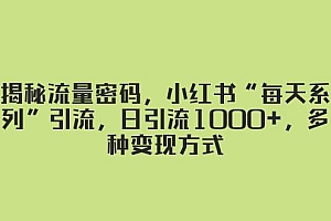 揭秘流量密码,小红书“每天系列”引流,日引流1000+,多种变现方式