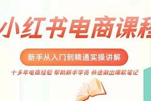 小红书电商新手入门到精通实操课,从入门到精通做爆款笔记,开店运营