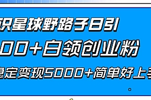知识星球野路子日引300+白领创业粉,日稳定变现5000+简单好上手!