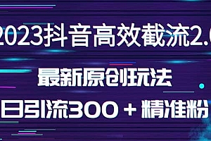 日引300+创业粉,独家抖音高效截流2.0玩法(价值1280)