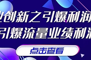 《商业创新之引爆利润增长》引爆流量业绩利润