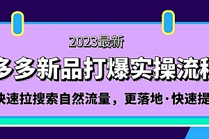 拼多多-新品打爆实操流程:轻松快速拉搜索自然流量,更落地·快速提升