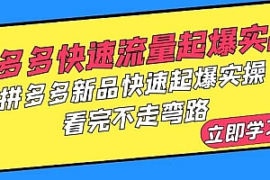 拼多多-快速流量起爆实战,拼多多新品快速起爆实操,看完不走弯路
