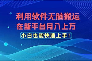 利用软件无脑搬运,在新平台月入上万,小白也能快速上手