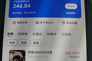 游戏看广告 无需养机 操作简单 没有成本 日入500+