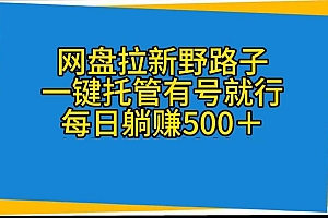 网盘拉新野路子,一键托管有号就行,全自动代发视频,每日躺赚500+